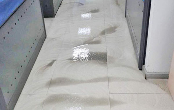 怎样清洗纯毛的地毯？